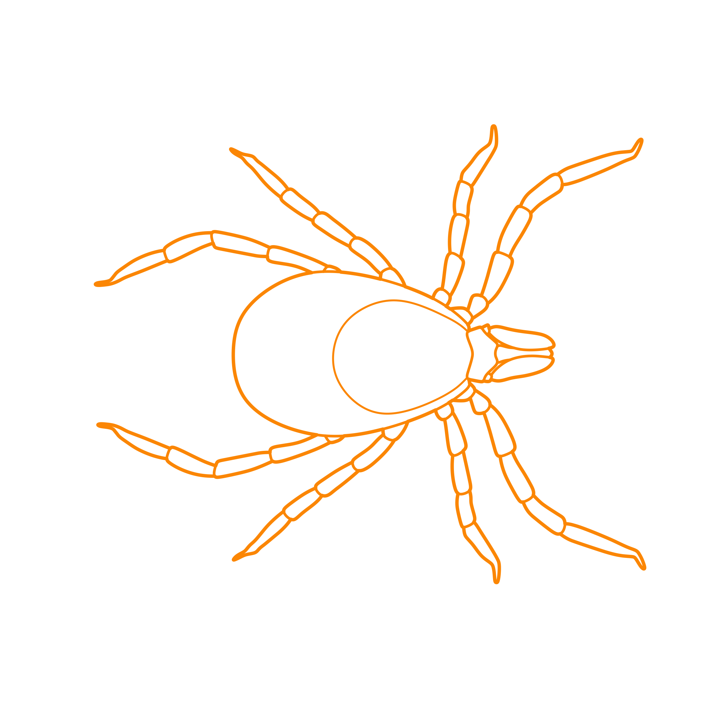 Animals Arachnids Deer Tick Svg Line Art Free Vectors